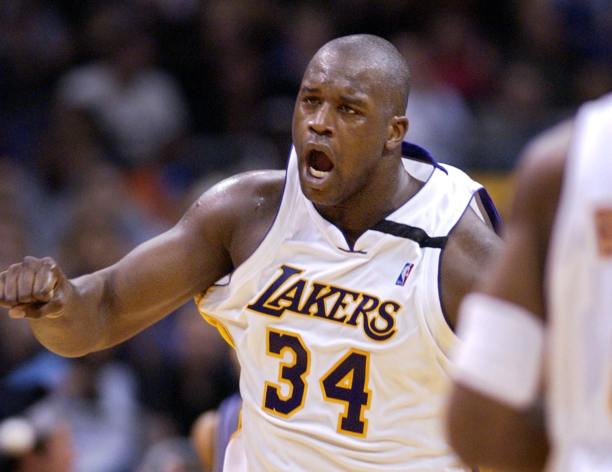 早报：作为预告的预告，世界杯抽签真的要来了（早报：再预告一次，世界杯抽签即将揭晓）